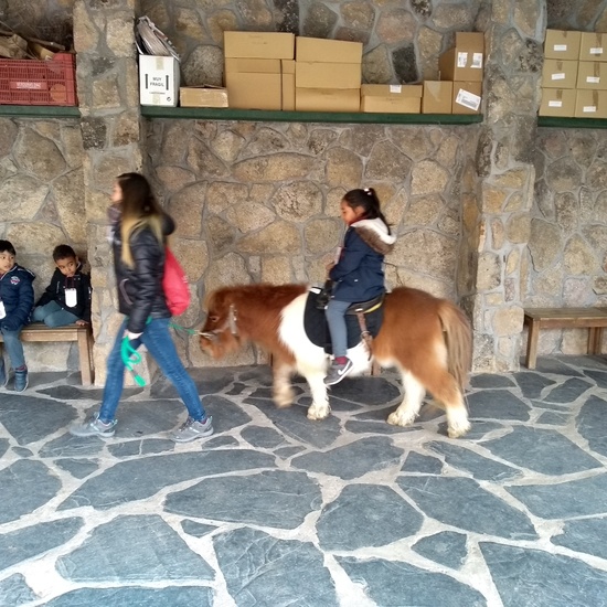 Granja de los Cuentos Infantiles II 26