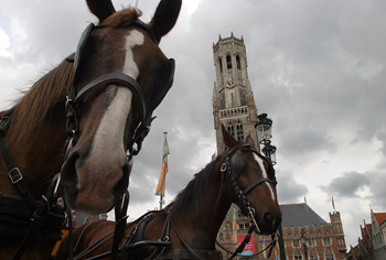 Caballos en la Plaza Mayor con la Torre Belfry de fondo, Brujas,