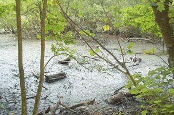 Río Arun, Inglaterra