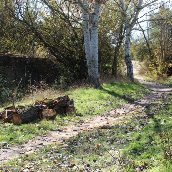 Julio Sánchez Blázquez mel foto 1 concurso fotografia Ies Satafi