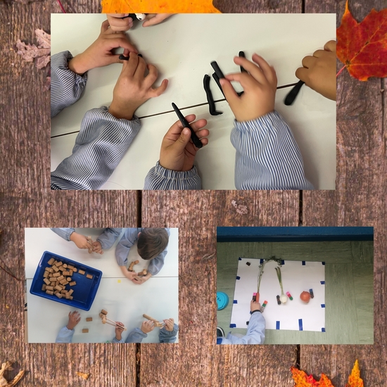 Proyecto Bajo mis pies