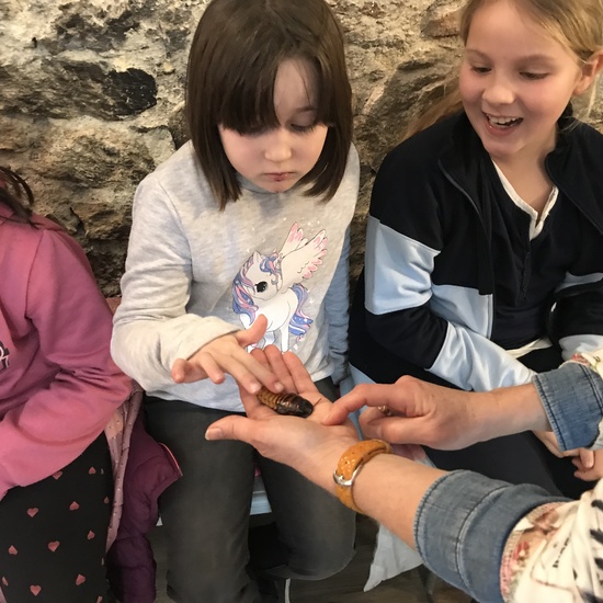 2020_02_27_3º visita Insectpark (4)_CEIP FDLR_Las Rozas 17