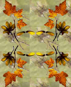 Simetría de tono otoñal sobre estampado