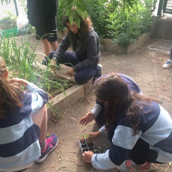 2019_05_Los alumnos de 4º en el Huerto_CEIP FDLR_Las Rozas 29