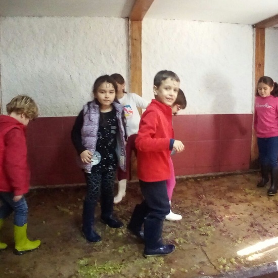 Granja Escuela 1º y 2º EP 2017-18 14
