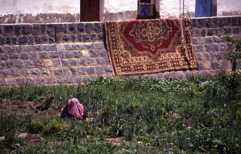 Mujer trabajando en un huerto, con alfombra tendida, Yemen