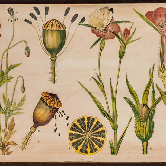 IES_SANISIDRO_LAMINAS_007