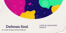 Defensa portfolio