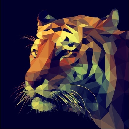 Cabeza de tigre cromática