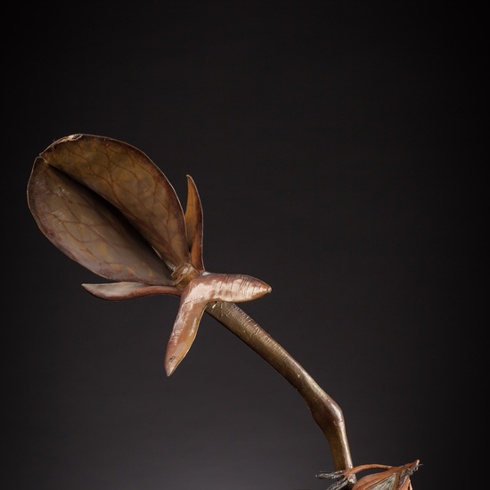 IES_ISABELLACATOLICA_BIOLOGIA_107