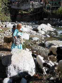 Pastora de ovejas cruzando un río, Marruecos
