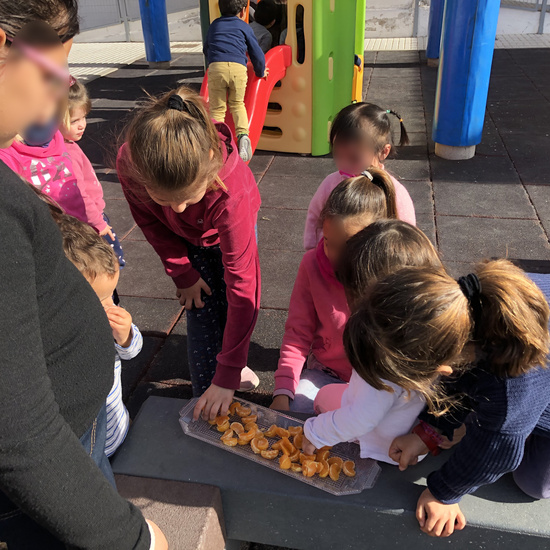 Mentorizacion EI Prado Alto 5