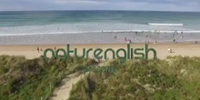 Surf Camp in Cantabria