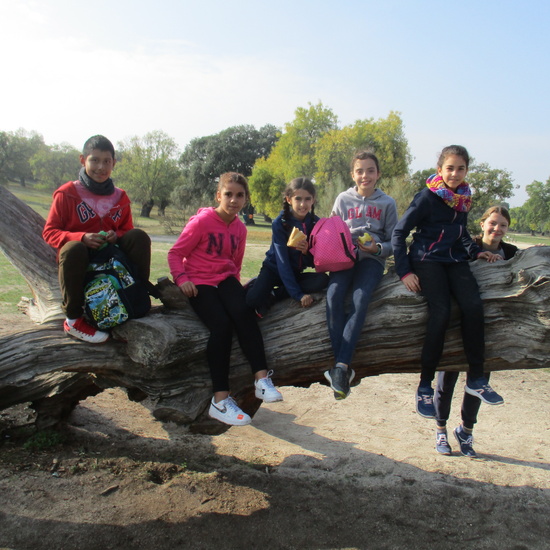 EN MÚLTIPLE 6º - 2019 (2ª Parte) 8