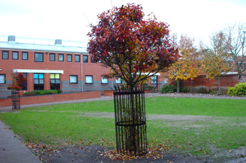 Patio de colegio