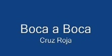 Boca a Boca