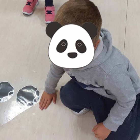 Proyecto Animales en peligro