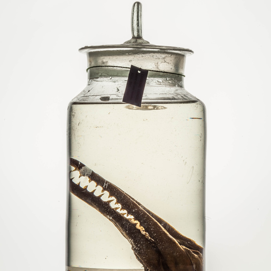 IES_CARDENALCISNEROS_CIENCIASNATURALES_300