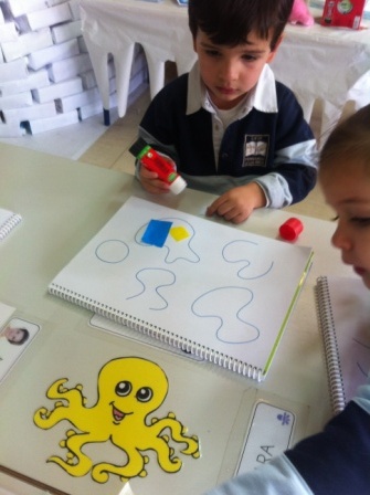 2017_02_LOS PULPOS DISTINGUEN ABIERTO Y CERRADO 8