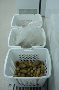 Cestas para Patatas