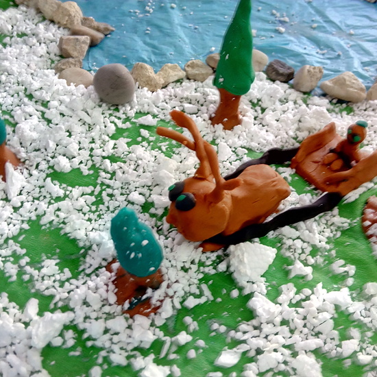 ECOSISTEMAS 5º CURSO 26