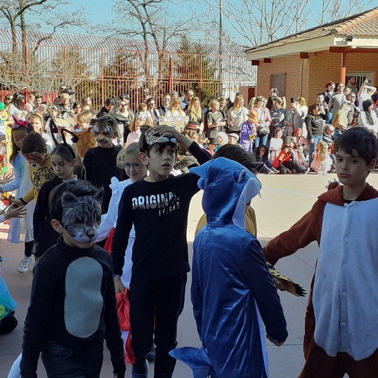 CARNAVAL CIUDAD PEGASO FEBRERO '20 VI 7