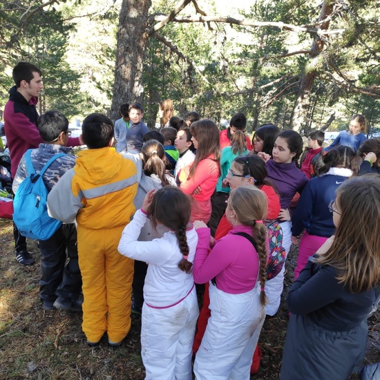 5º de Excursión a la nieve/multiaventura 15