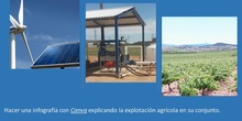Proyecto agrícola
