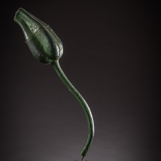 IES_ISABELLACATOLICA_BIOLOGIA_124