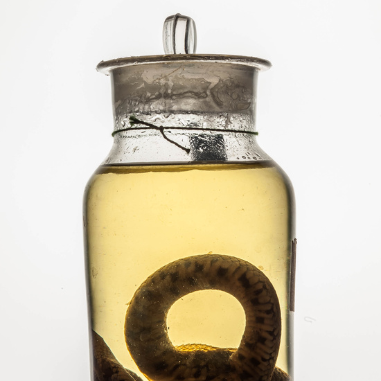 IES_CARDENALCISNEROS_CIENCIASNATURALES_268