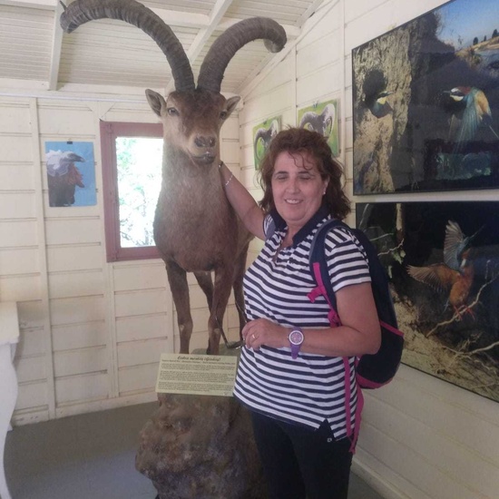 2019_06_14_4º de primaria en Cañada Real_CEIP FDLR_Las Rozas 9