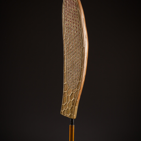 IES_SANISIDRO_BIOLOGIA_098