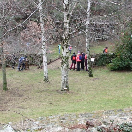 6º CERCEDILLA 2019 23