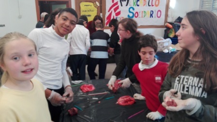 2018_02_09_DISECCION CORAZON Y PULMONES_SEXTO_CEIP FDLR_LAS ROZAS 10