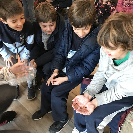 2020_02_27_3º visita Insectpark (4)_CEIP FDLR_Las Rozas 19