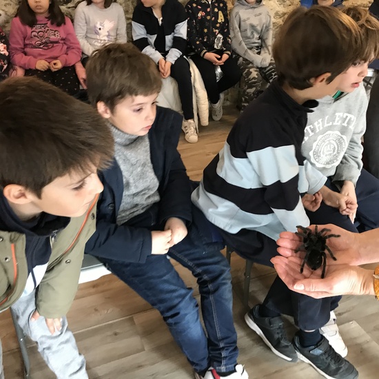 2020_02_27_3º visita Insectpark (5)_CEIP FDLR_Las Rozas 26