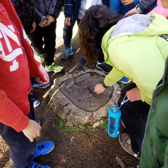 VISITA A GREFA. 5º CURSO 8