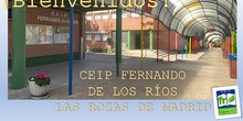 Puertas Abiertas Curso 2022-2023_CEIP FDLR_Las Rozas