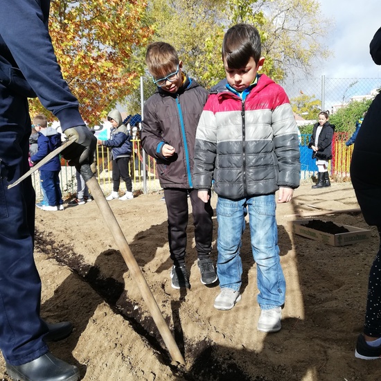 Huerto escolar 2019/20 40