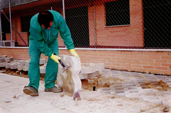 Trabajos de pavimentación