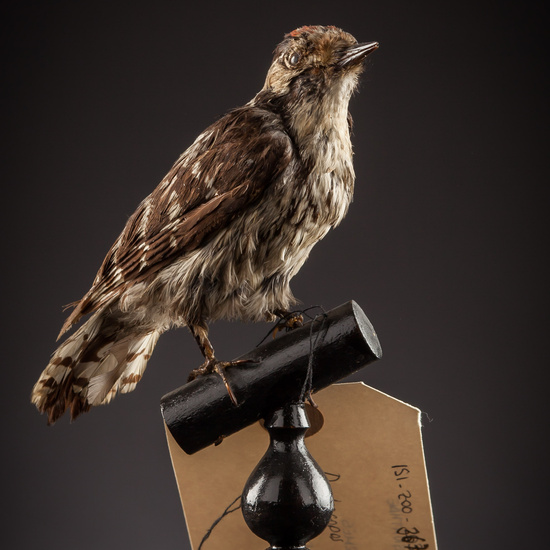 IES_SANISIDRO_BIOLOGIA_423