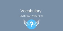 Can You Fly_ Unit