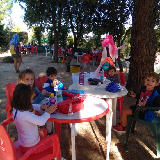 Excursión bosque encantado 24