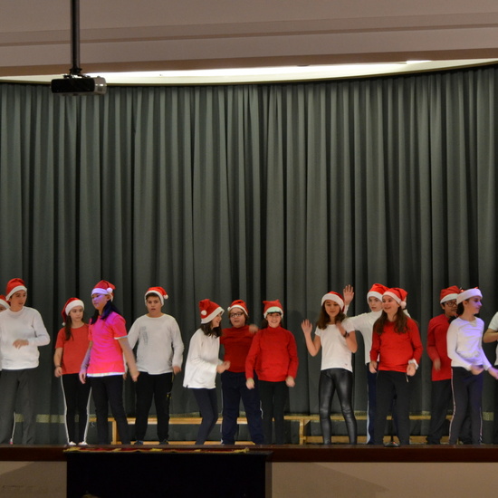 FOTOS NAVIDAD 2018 5º Y 6º EP_2 27