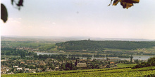 Río y viñedos en Rhüdesheim, Alemania