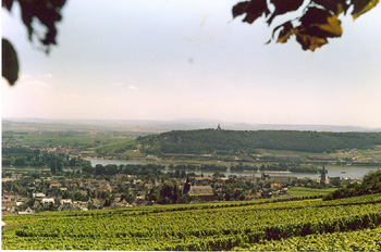 Río y viñedos en Rhüdesheim, Alemania