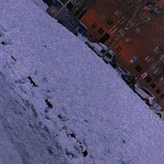 Fotografías Filomena 17