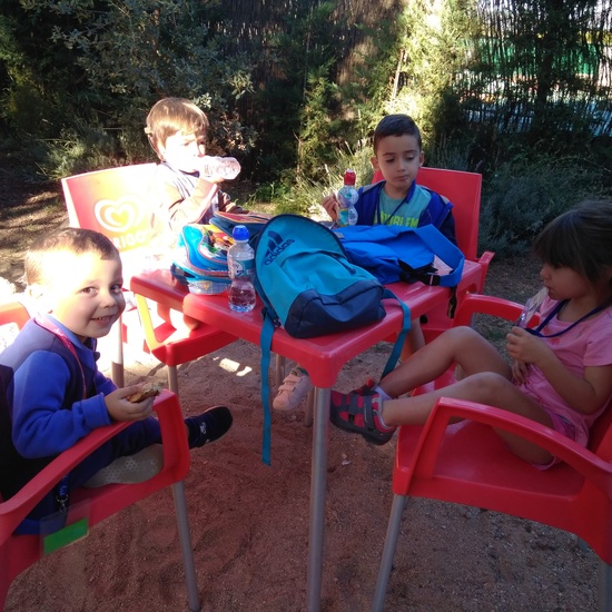 Excursión bosque encantado 20