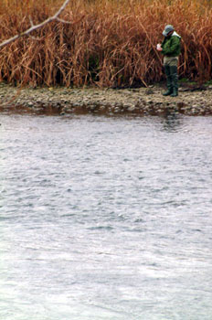 Pesca en el rio Tajo