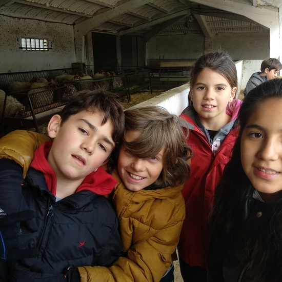 Albergue 5º- 2º día 3